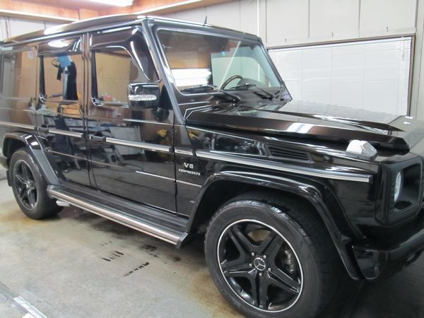 009g55.jpg